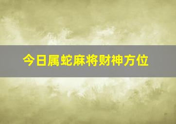 今日属蛇麻将财神方位