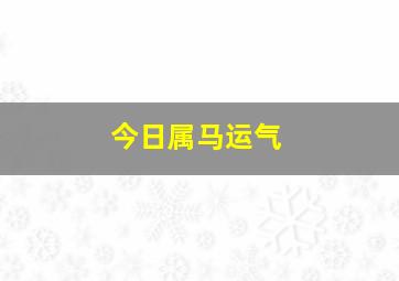 今日属马运气