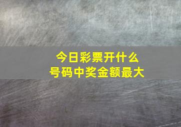 今日彩票开什么号码中奖金额最大