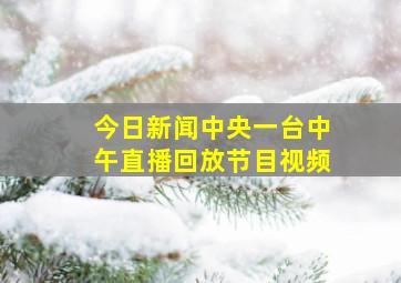 今日新闻中央一台中午直播回放节目视频