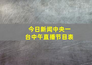 今日新闻中央一台中午直播节目表