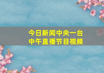 今日新闻中央一台中午直播节目视频