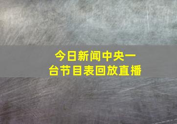 今日新闻中央一台节目表回放直播