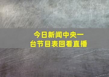 今日新闻中央一台节目表回看直播