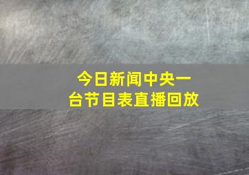 今日新闻中央一台节目表直播回放