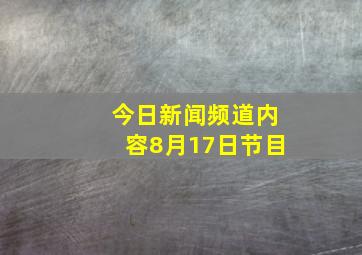 今日新闻频道内容8月17日节目