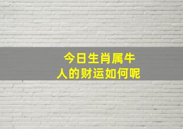 今日生肖属牛人的财运如何呢