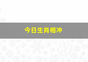 今日生肖相冲