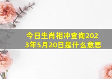 今日生肖相冲查询2023年5月20日是什么意思