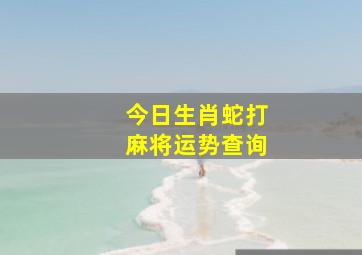 今日生肖蛇打麻将运势查询