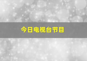 今日电视台节目