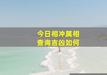 今日相冲属相查询吉凶如何