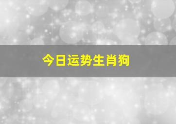 今日运势生肖狗