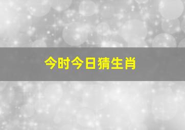 今时今日猜生肖