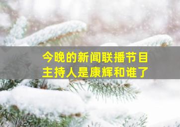 今晚的新闻联播节目主持人是康辉和谁了