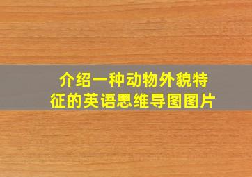 介绍一种动物外貌特征的英语思维导图图片