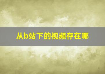 从b站下的视频存在哪