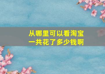 从哪里可以看淘宝一共花了多少钱啊