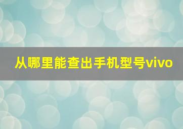 从哪里能查出手机型号vivo