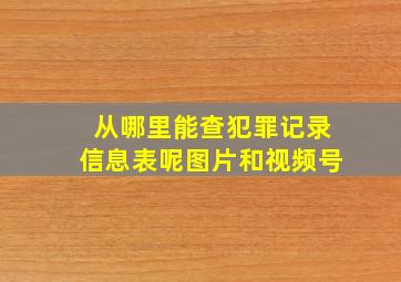 从哪里能查犯罪记录信息表呢图片和视频号