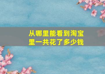 从哪里能看到淘宝里一共花了多少钱