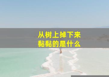 从树上掉下来黏黏的是什么