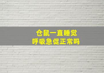 仓鼠一直睡觉呼吸急促正常吗