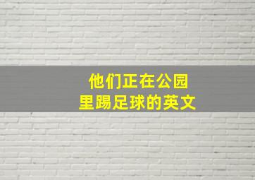 他们正在公园里踢足球的英文