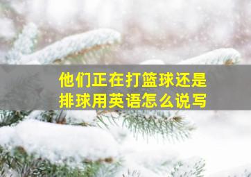 他们正在打篮球还是排球用英语怎么说写