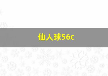 仙人球56c