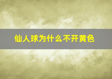 仙人球为什么不开黄色