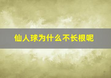 仙人球为什么不长根呢