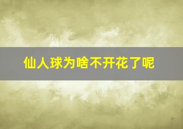 仙人球为啥不开花了呢