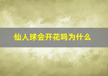 仙人球会开花吗为什么