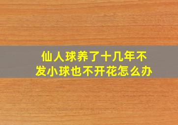 仙人球养了十几年不发小球也不开花怎么办