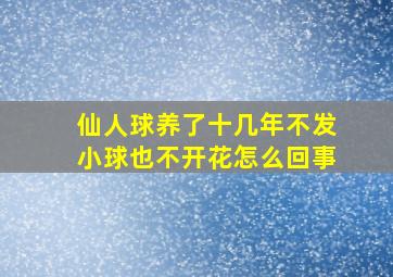 仙人球养了十几年不发小球也不开花怎么回事