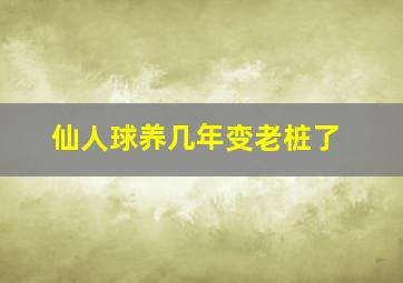 仙人球养几年变老桩了