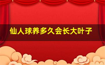 仙人球养多久会长大叶子