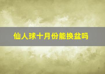 仙人球十月份能换盆吗