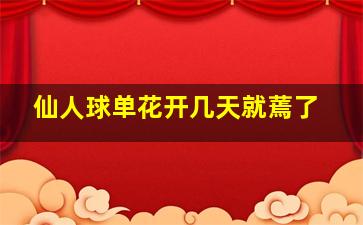 仙人球单花开几天就蔫了