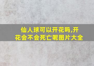 仙人球可以开花吗,开花会不会死亡呢图片大全