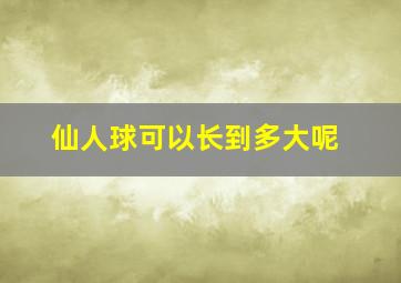 仙人球可以长到多大呢