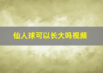 仙人球可以长大吗视频