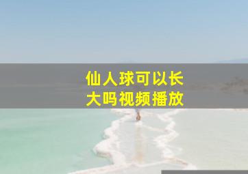 仙人球可以长大吗视频播放