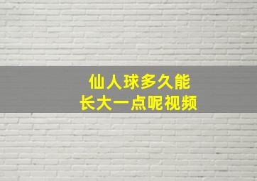 仙人球多久能长大一点呢视频