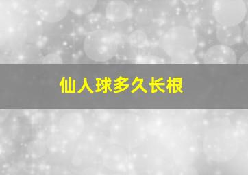 仙人球多久长根