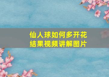 仙人球如何多开花结果视频讲解图片