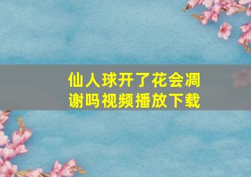 仙人球开了花会凋谢吗视频播放下载