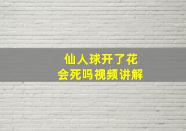 仙人球开了花会死吗视频讲解