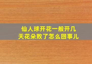 仙人球开花一般开几天花朵败了怎么回事儿